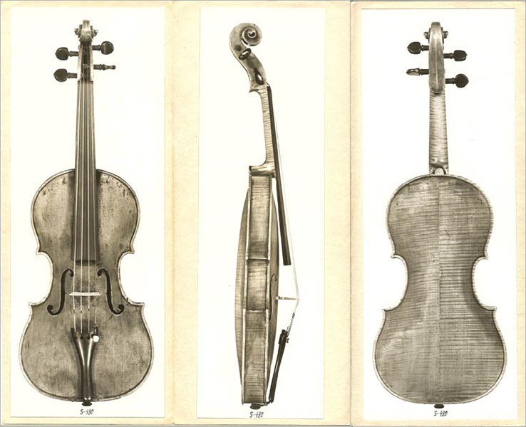 Marquis Violins